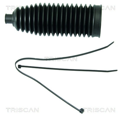 850029055 Triscan