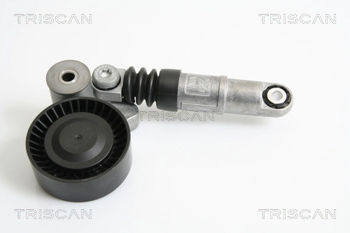8641233015 Triscan
