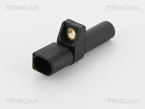 885523101 Triscan
