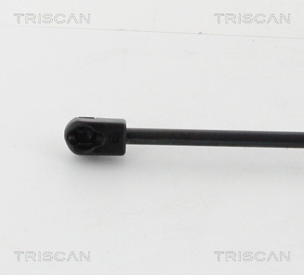 871016262 Triscan Amortiguador de porton