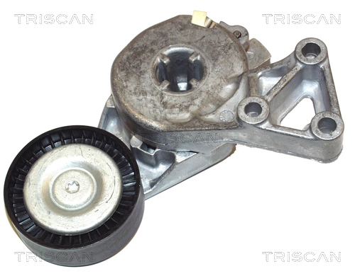  Tensor de correa poli V Seat Altea 