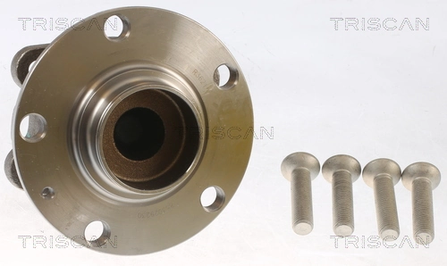  Cubo de rueda trasero Audi A6 