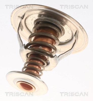 86206182 Triscan Termostato de agua