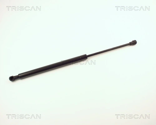 871013256 Triscan