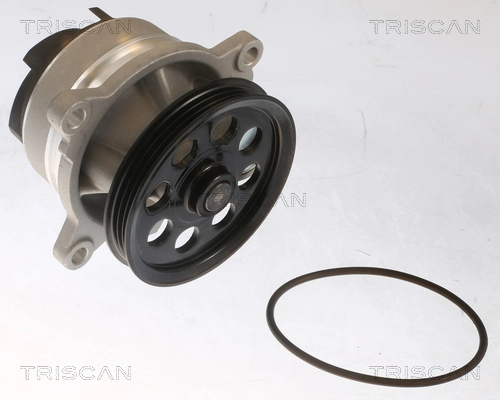 860016076 Triscan
