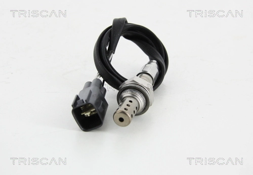 884513184 Triscan