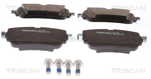 811029187 Triscan