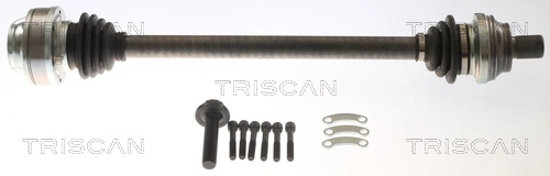 8540295066 Triscan