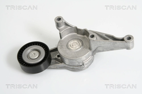  Tensor de correa poli V Seat Alhambra 