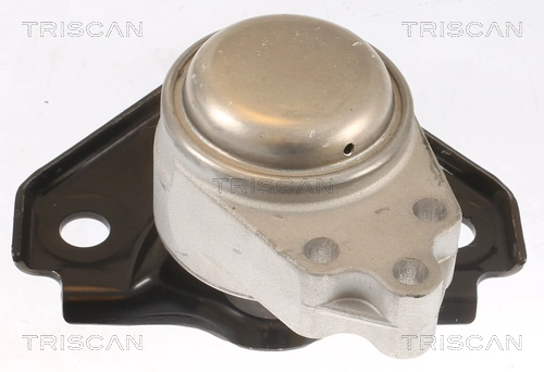 850516119 Triscan