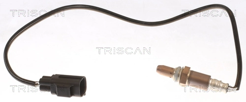 884527076 Triscan