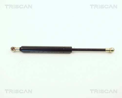 87101009 Triscan