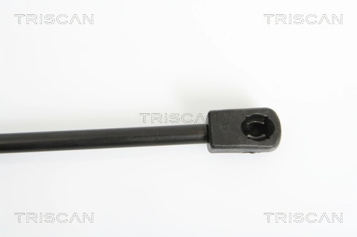 Comprar 13182537 General Motors Amortiguador de puerta trasera