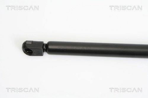 871016249 Triscan Amortiguador de porton