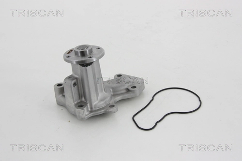 860042020 Triscan