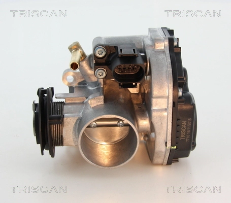 TB0081 Magneti Marelli Mariposa de admisión