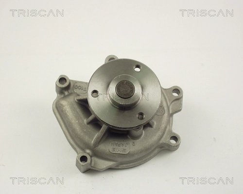 860013012 Triscan