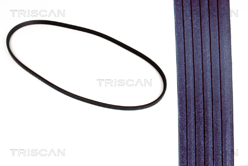 8640130975 Triscan