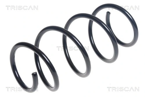 875029407 Triscan
