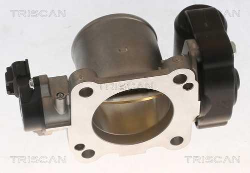 Cuerpo de aceleración completo Triscan 882013010 precio, desde 45,01 EUR