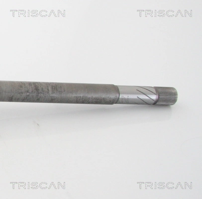 Comprar 391003953R Nissan/Infiniti Semieje delantero derecho