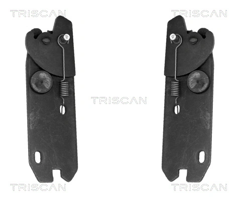 8105103013 Triscan
