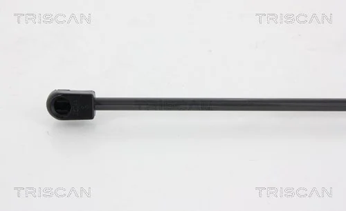  Amortiguador maletero Renault DUSTER 1