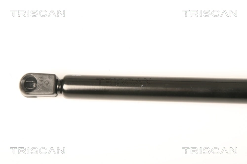 Muelle neumático, tapa delantera Citroen Xsara coupé (N0) (1998 - 2005) precio, desde 16,00 EUR