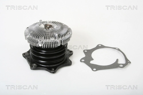 860014011 Triscan