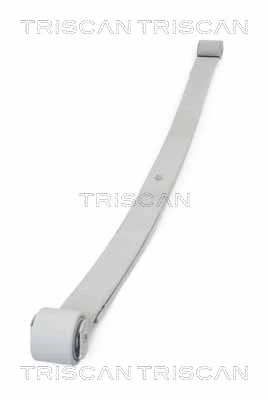 876510006 Triscan