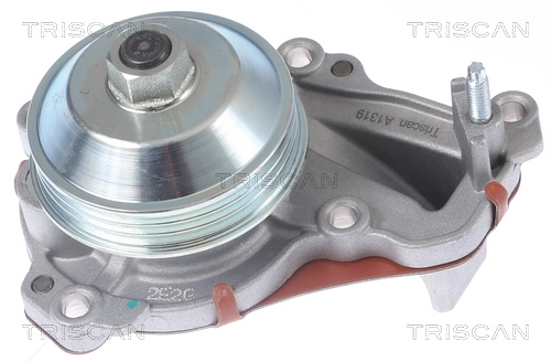 860028026 Triscan