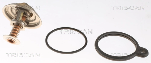 86207482 Triscan