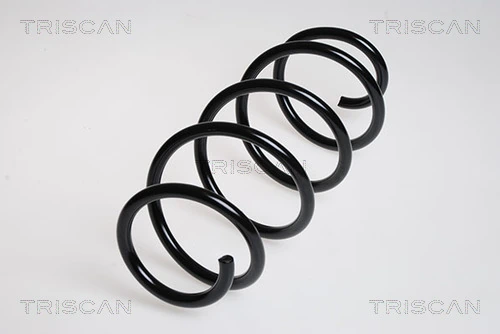 875029207 Triscan