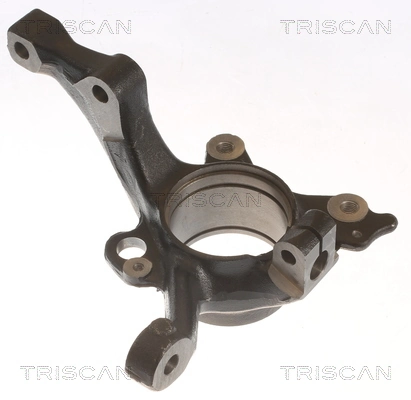 850029717 Triscan