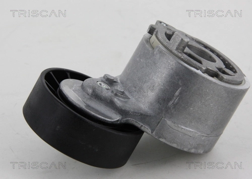8641103036 Triscan