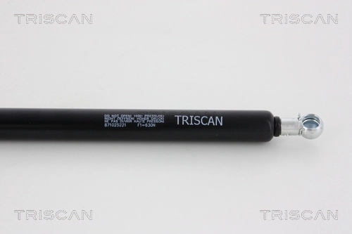 871025221 Triscan Amortiguador de porton