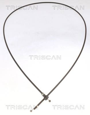 814029628 Triscan