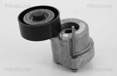 8641243012 Triscan