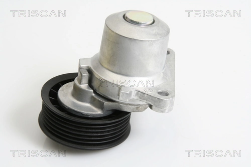 8641103033 Triscan