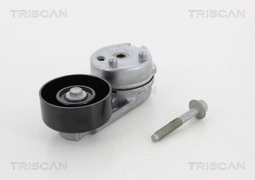 8641102036 Triscan