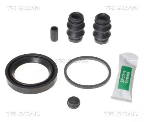 8170204880 Triscan