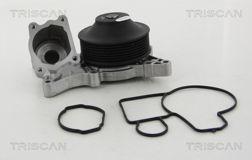 860011967 Triscan