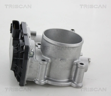 882013001 Triscan