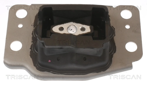 850510137 Triscan
