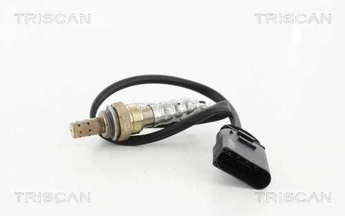 884529095 Triscan