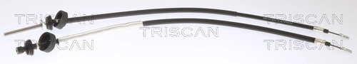 8140251259 Triscan