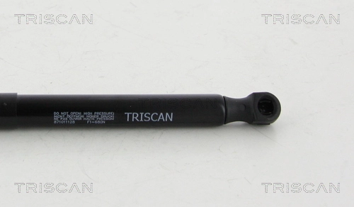 Muelle de capó  para BMW X3  F25