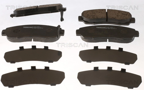 811040980 Triscan