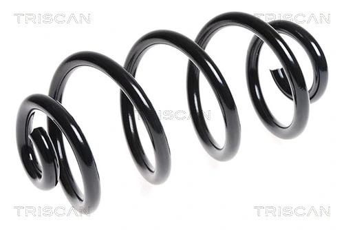 Muelle trasero para Nissan Qashqai I J10