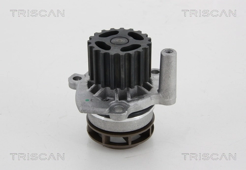 Comprar Bomba de agua Audi A6 C6 4F2